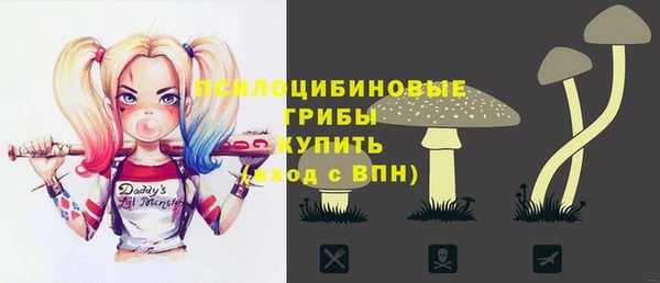 тгк Алексин